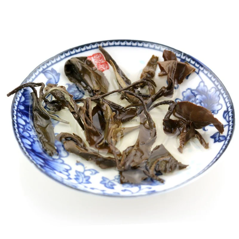 Gongmei White Tea - COLORFULTEA - Image 4