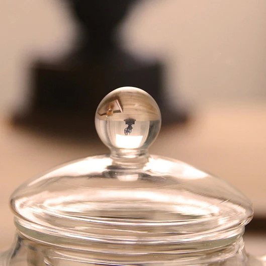 Heat Resisting Herbal Tea Glass Teapot - Image 4