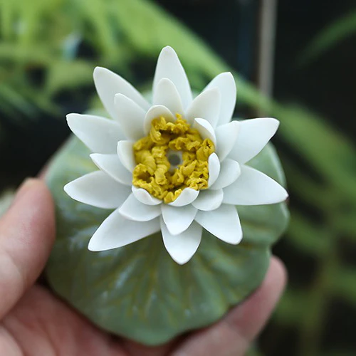 Lotus Flower And Leaf Porcelain Tea Pet - Image 7