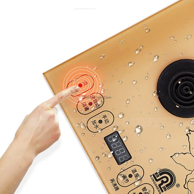 Stainless Steel Teapot With Golden Induction Cooker - Image 4