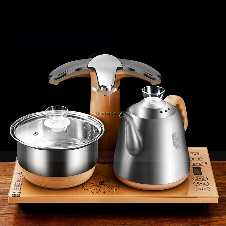 Stainless Steel Teapot With Golden Induction Cooker - Image 5